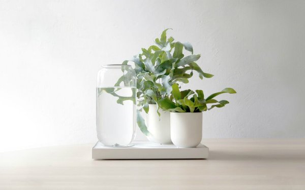 Tableau, sistemas de irrigación de Pikaplant