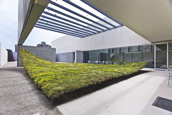 Green Varnish, Nomad Studio, 2015.