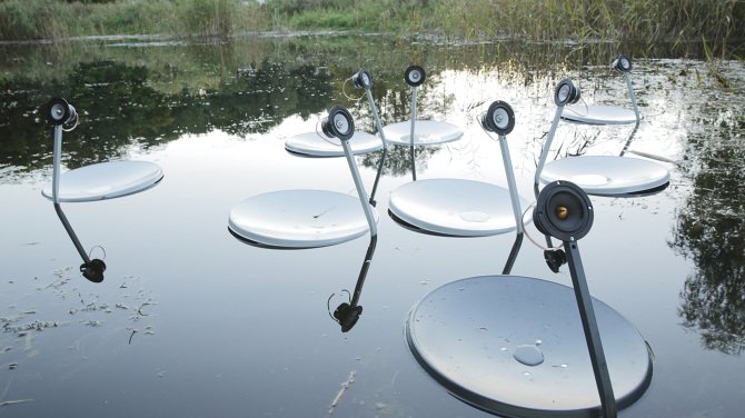 Swans, Marco Barotti, 2015. ©Marco Barotti