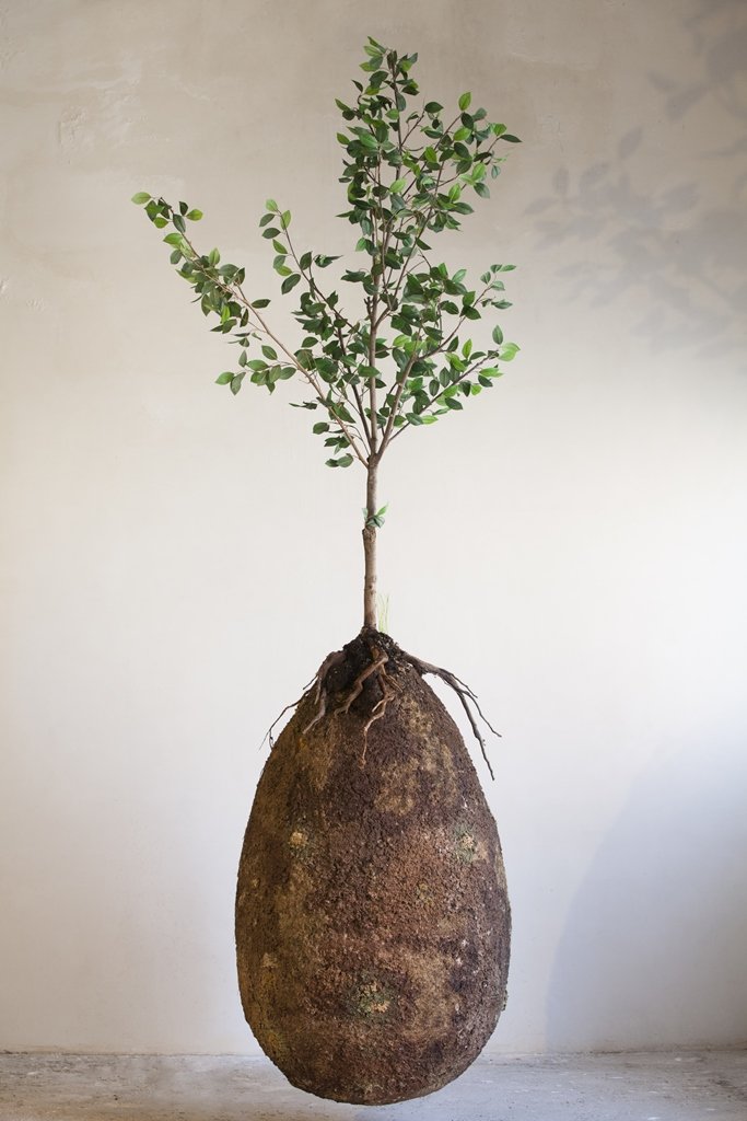 Capsula Mundi, Raoul Bretzel y Anna Citelli, 2015.