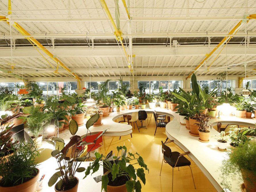 Second Home Lisboa, Selgascano interviene el Mercado Ribeira