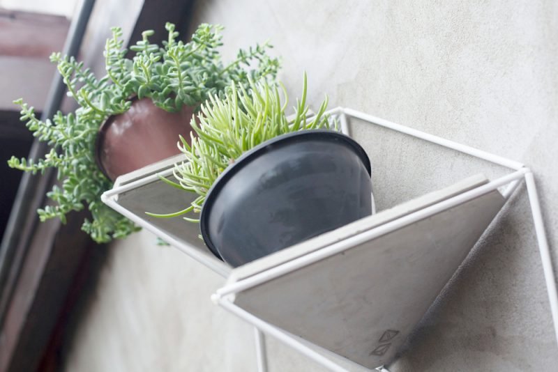 Garden Module, el jardín vertical de Luisa + Lilian Parrado. Fotografía: Bruna Hosti (cortesía v2com)