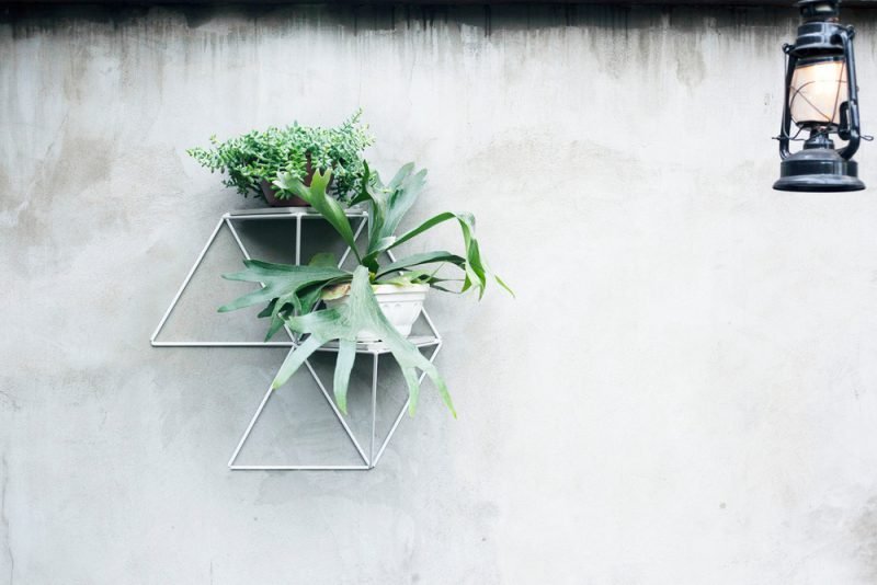 Garden Module, el jardín vertical de Luisa + Lilian Parrado. Fotografía: Bruna Hosti (cortesía v2com)