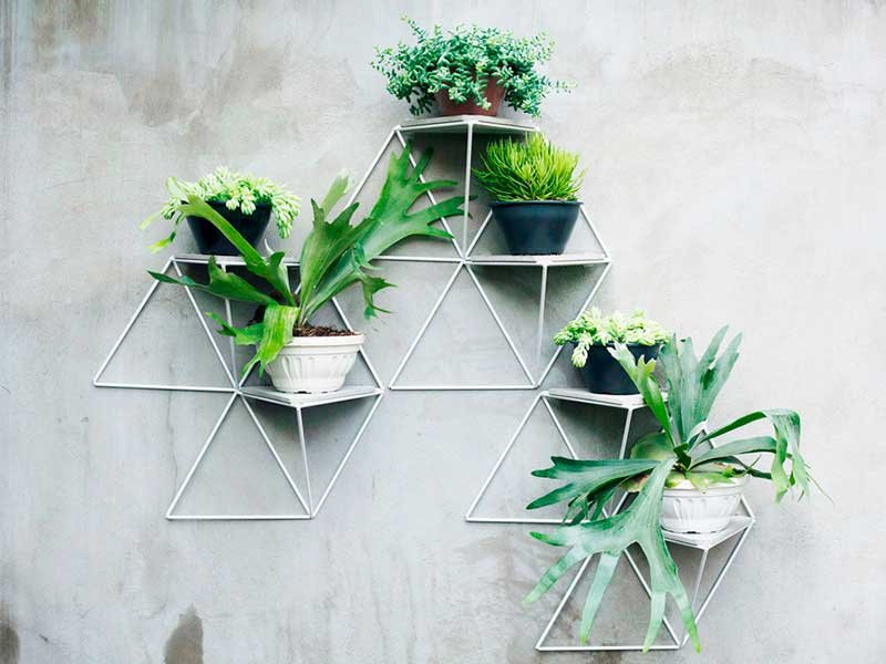 Garden Module, el jardín vertical de Luisa y Lilian Parrado