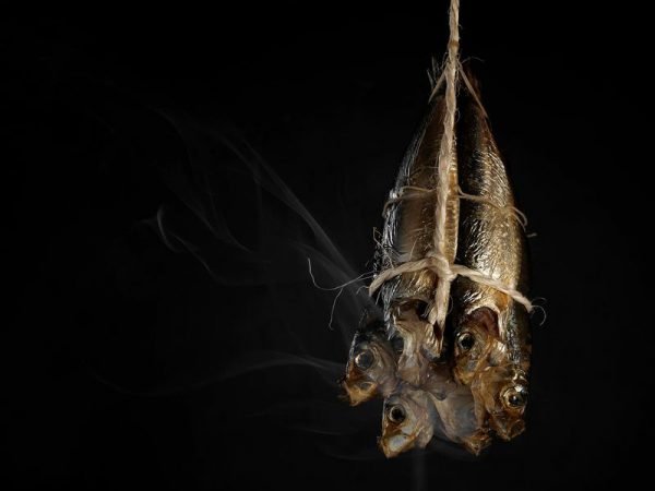 Robert Peek, imágenes que transmiten sabores