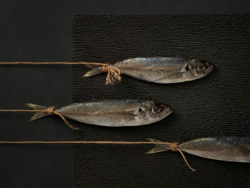 Robert Peek, imágenes que transmiten sabores