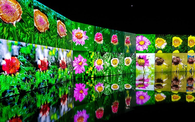 D3US EX M4CH1NA. Arte e Inteligencia Artificial en Gijón