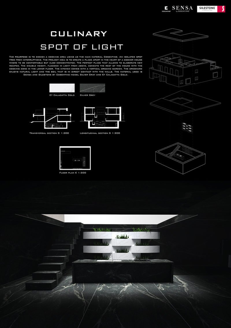 Culinary Spot of Light, de Maria Nicolina Dobras (UNIZAR)