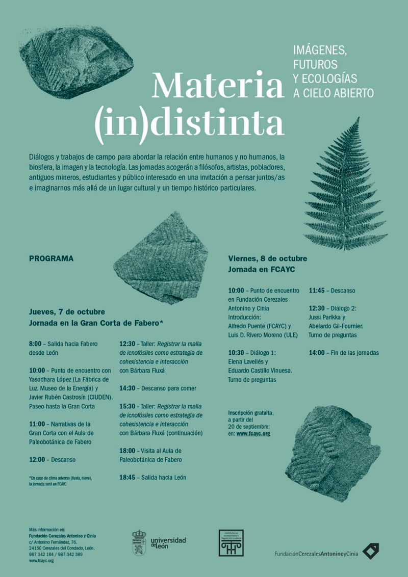 Materia (in)distinta: jornadas de la Fundación Cerezales Antonino y Cinia en León