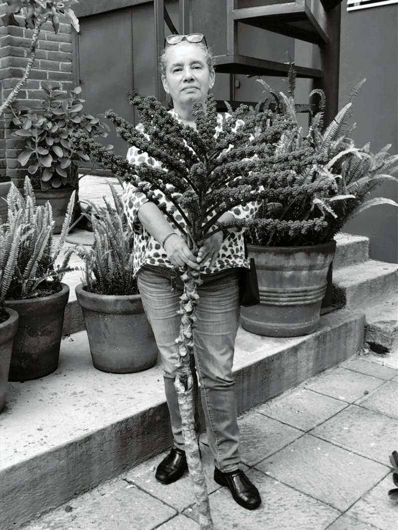 Maestros del Diseño en América Latina: Azul Morris (México)