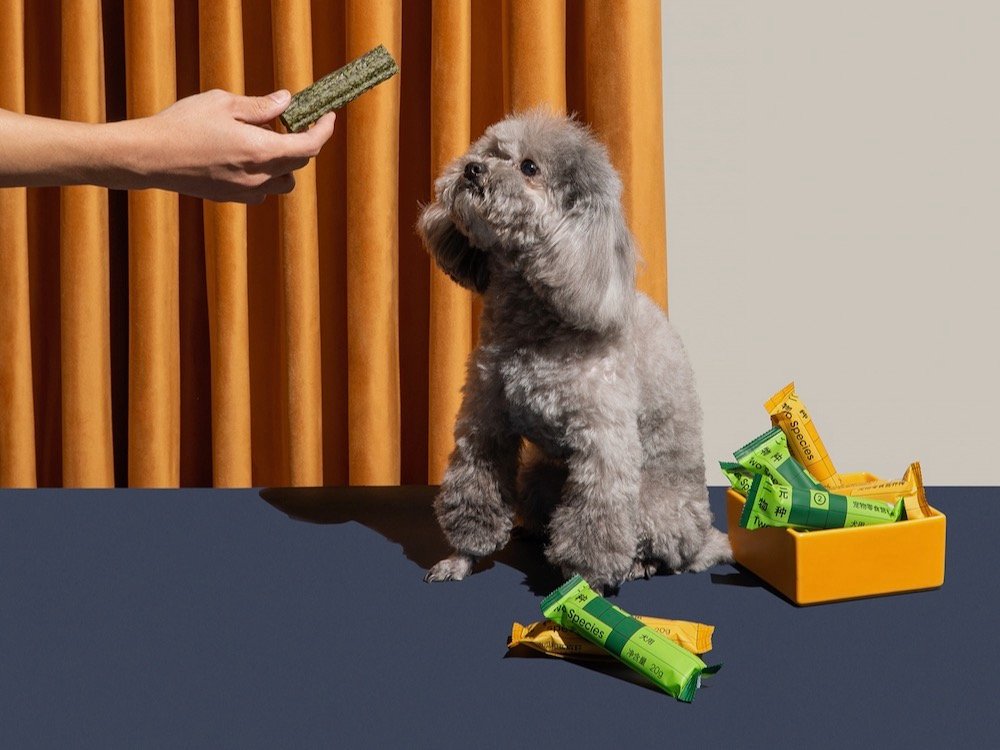 Han Gao presenta Two Species, alimento para mascotas de diseño