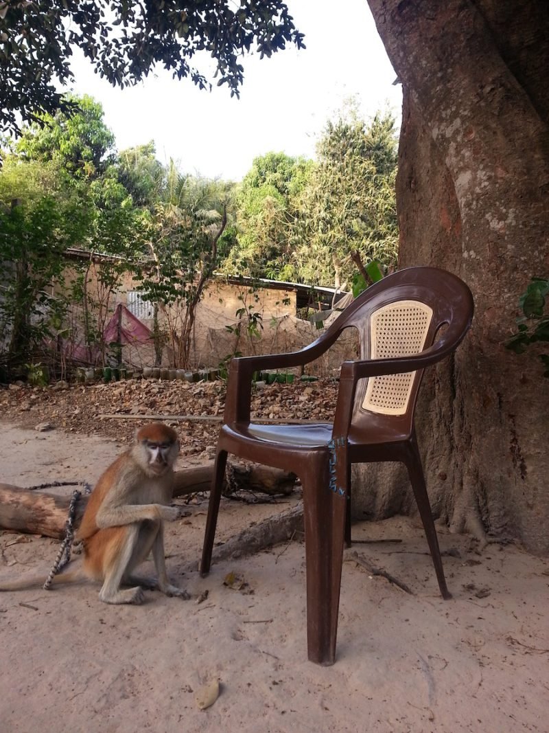 La columna de Manuel Bañó: Cosas africanas. Fotografías del autor