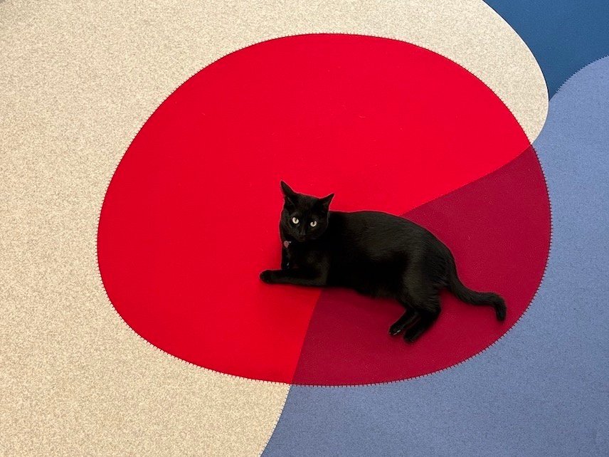 Buen diseño mexicano en la Fundación Casa de México en España