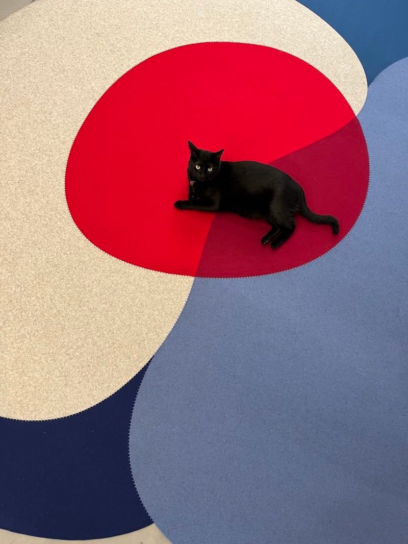 Buen diseño mexicano en la Fundación Casa de México en España