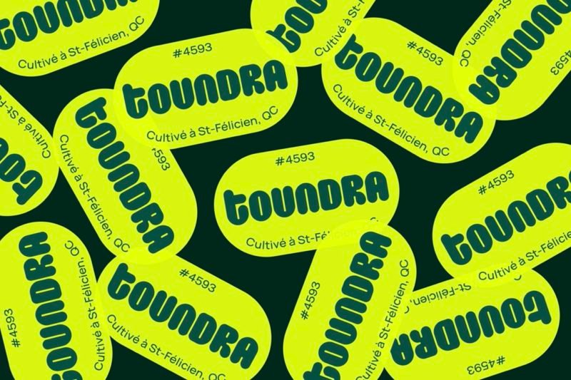 Toundra, los pepinos de diseño de LG2. Una nueva forma de consumir vegetales