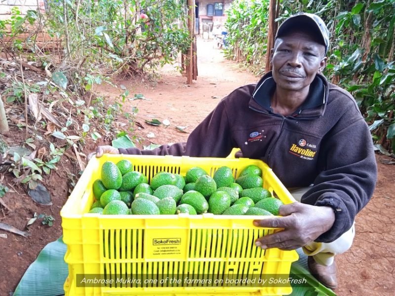 Se entregaron los premios iF Social Impact Prize 2024