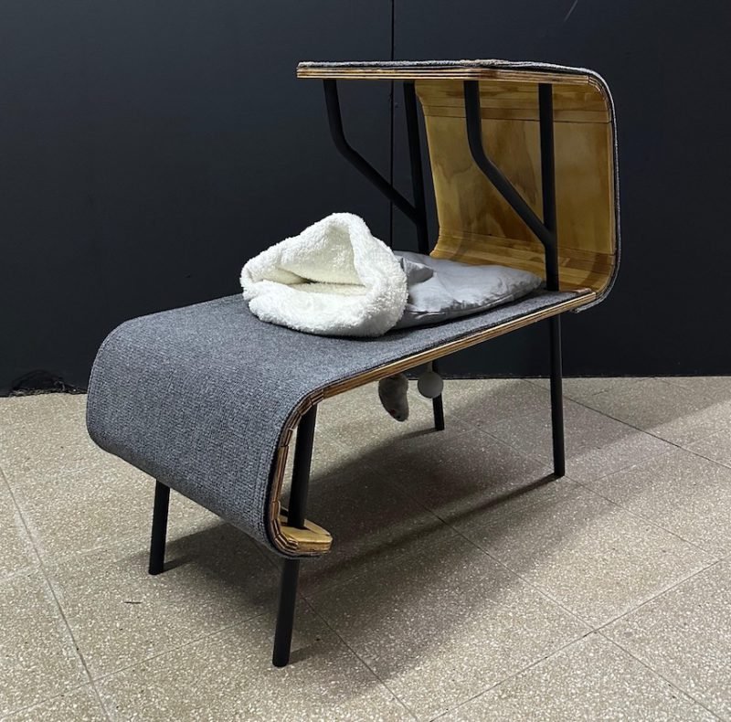 Estudiantes argentinos indagan en las posibilidades del Diseño para mascotas