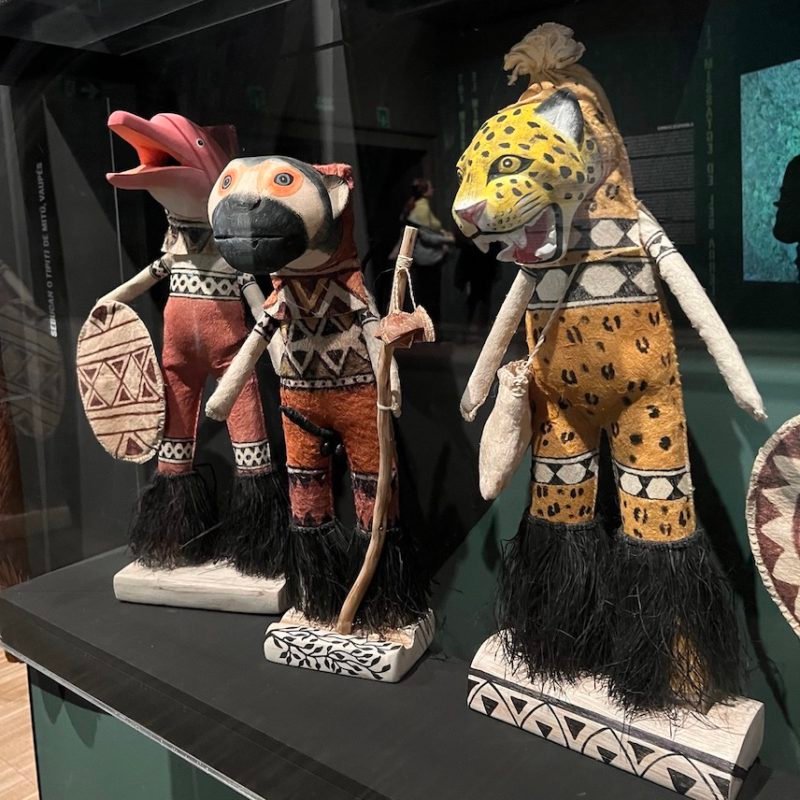 Amazonias. El futuro ancestral: contundente y bello testimonio sobre la sabiduría indígena