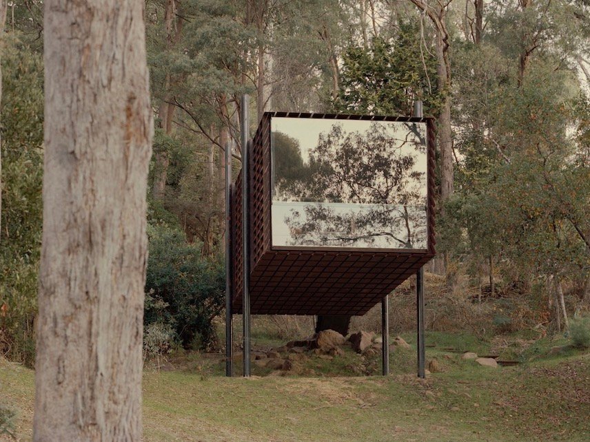 Sawmill, la «casita» del arbol de Robbie Walker en los antiguos bosques australianos