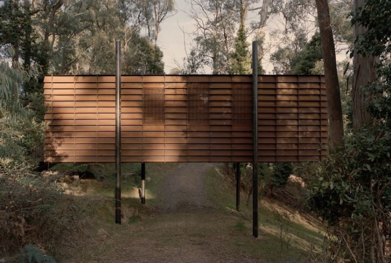Sawmill, la "casita" del arbol de Robbie Walker en los antiguos bosques australianos © Tasha Tylee