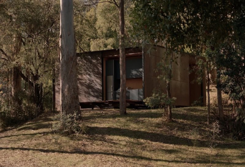 Sawmill, la "casita" del arbol de Robbie Walker en los antiguos bosques australianos © Tasha Tylee