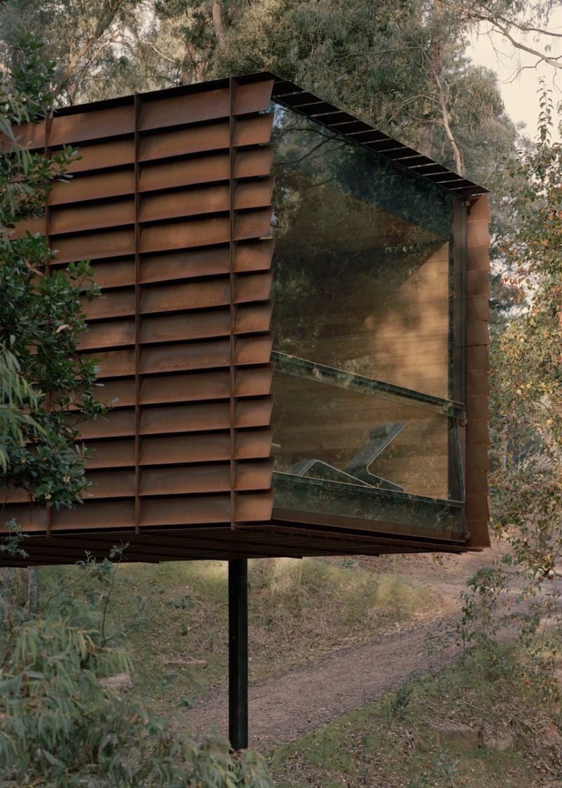 Sawmill, la "casita" del arbol de Robbie Walker en los antiguos bosques australianos © Tasha Tylee