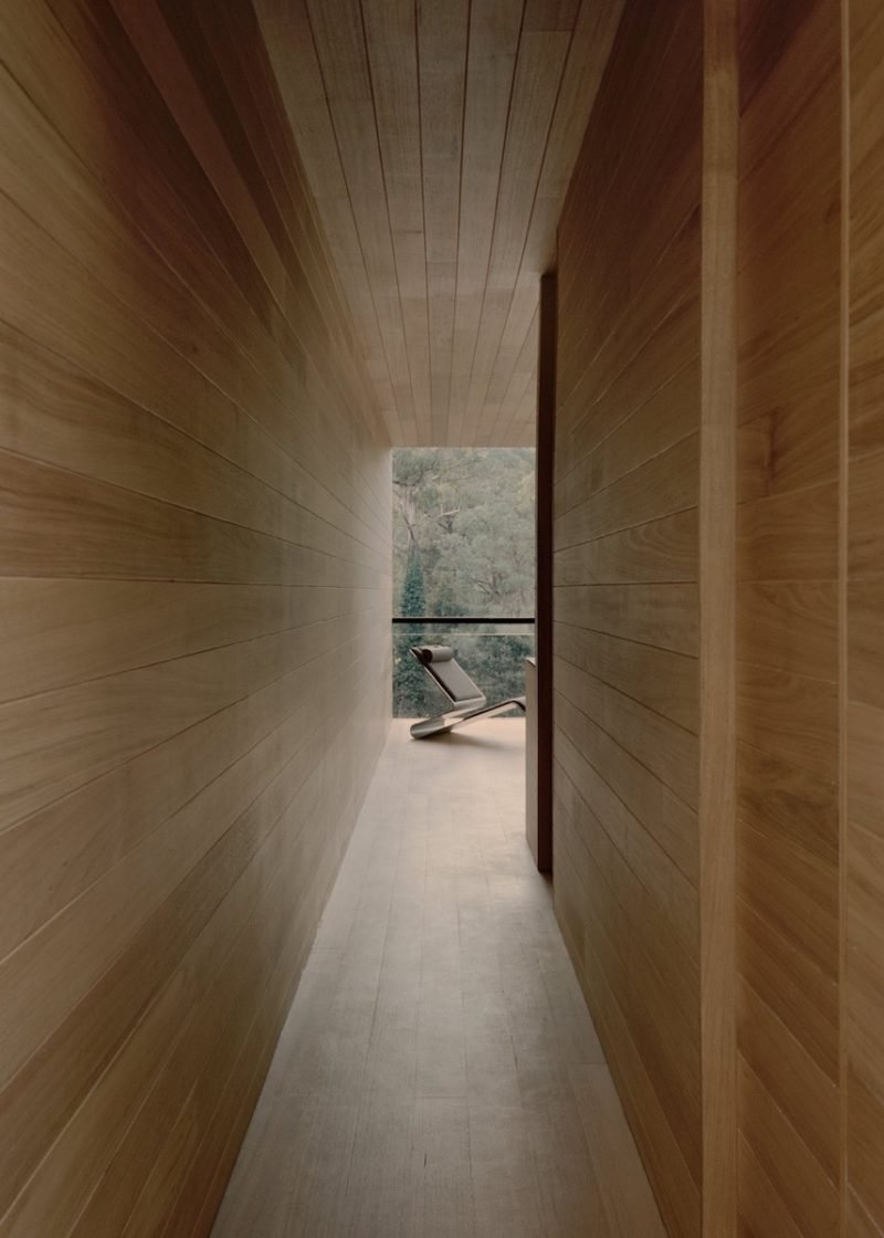 Sawmill, la "casita" del arbol de Robbie Walker en los antiguos bosques australianos © Tasha Tylee