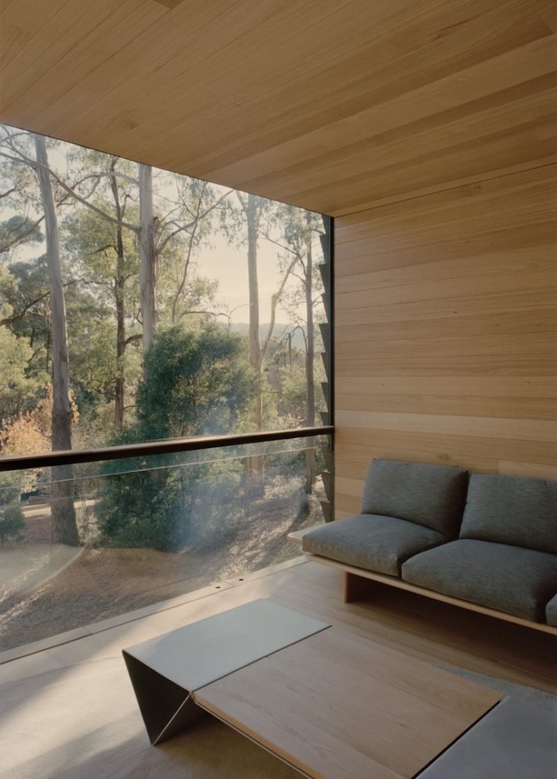 Sawmill, la "casita" del arbol de Robbie Walker en los antiguos bosques australianos © Tasha Tylee