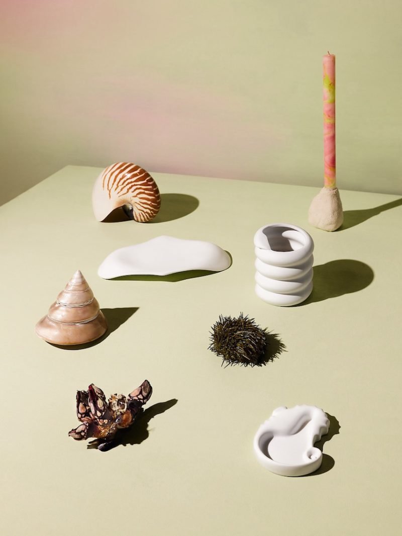 Cookplay, una vajilla y las especies en peligro de extinción del Mediterráneo