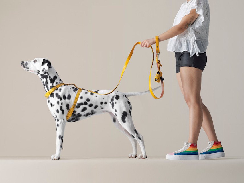 Füür y cómo reutilizar mangueras de bombero para fabricar muebles y objetos