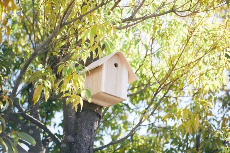 Tokyu Bird House, los comederos para pájaros de Ryusuke Nanki